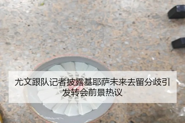 尤文跟队记者披露基耶萨未来去留分歧引发转会前景热议